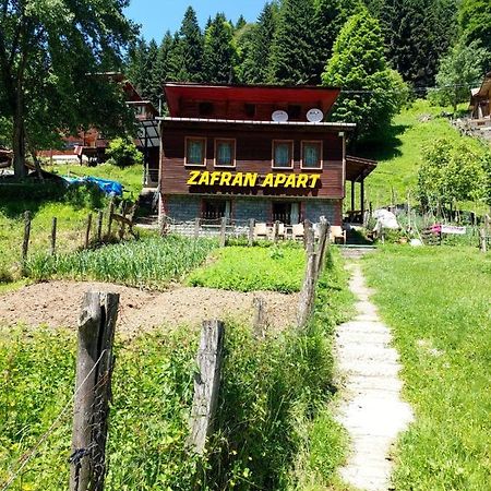 Villa Zafran Ayder Yaylasi Ngoại thất bức ảnh