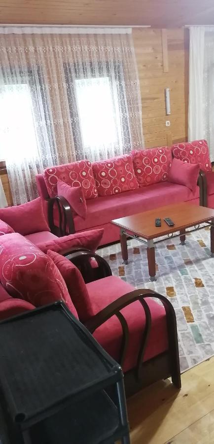 Villa Zafran Ayder Yaylasi Ngoại thất bức ảnh