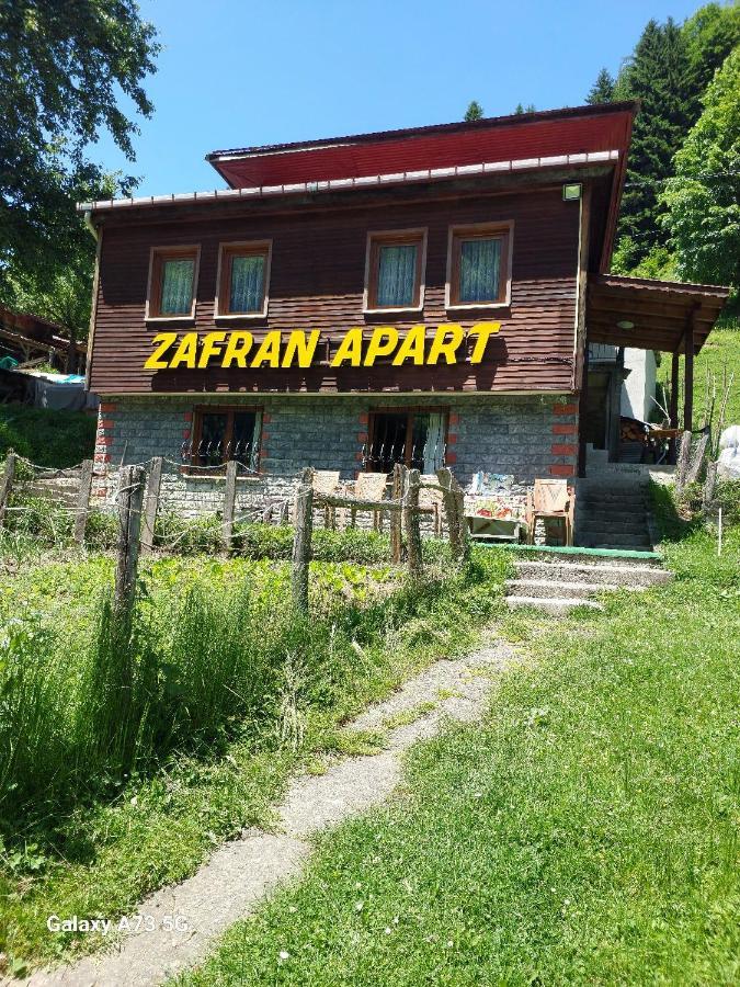 Villa Zafran Ayder Yaylasi Ngoại thất bức ảnh